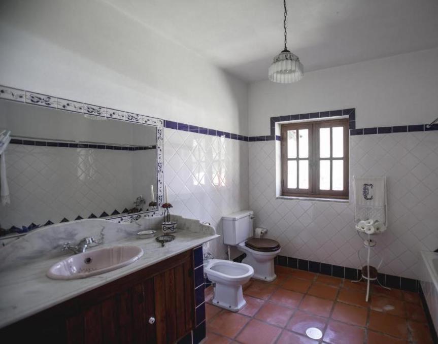 Quinta Do Vale Grande Villa Albergaria-a-Velha Eksteriør bilde