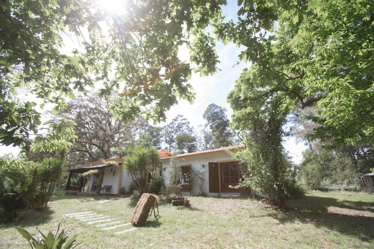 Quinta Do Vale Grande Villa Albergaria-a-Velha Eksteriør bilde