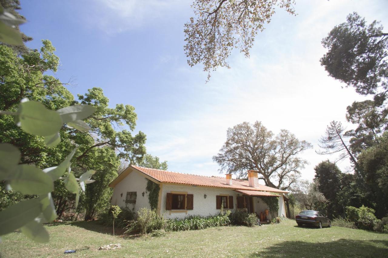 Quinta Do Vale Grande Villa Albergaria-a-Velha Eksteriør bilde