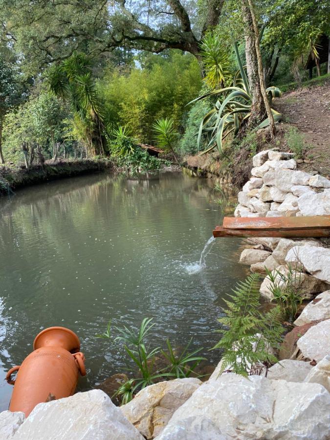 Quinta Do Vale Grande Villa Albergaria-a-Velha Eksteriør bilde