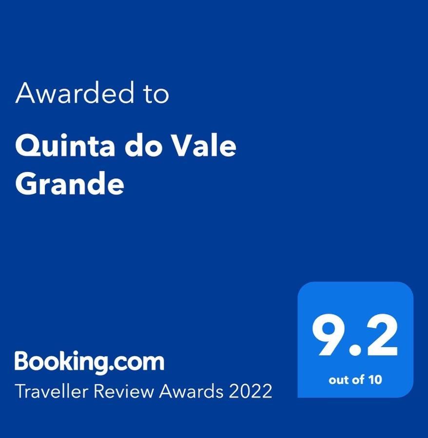 Quinta Do Vale Grande Villa Albergaria-a-Velha Eksteriør bilde