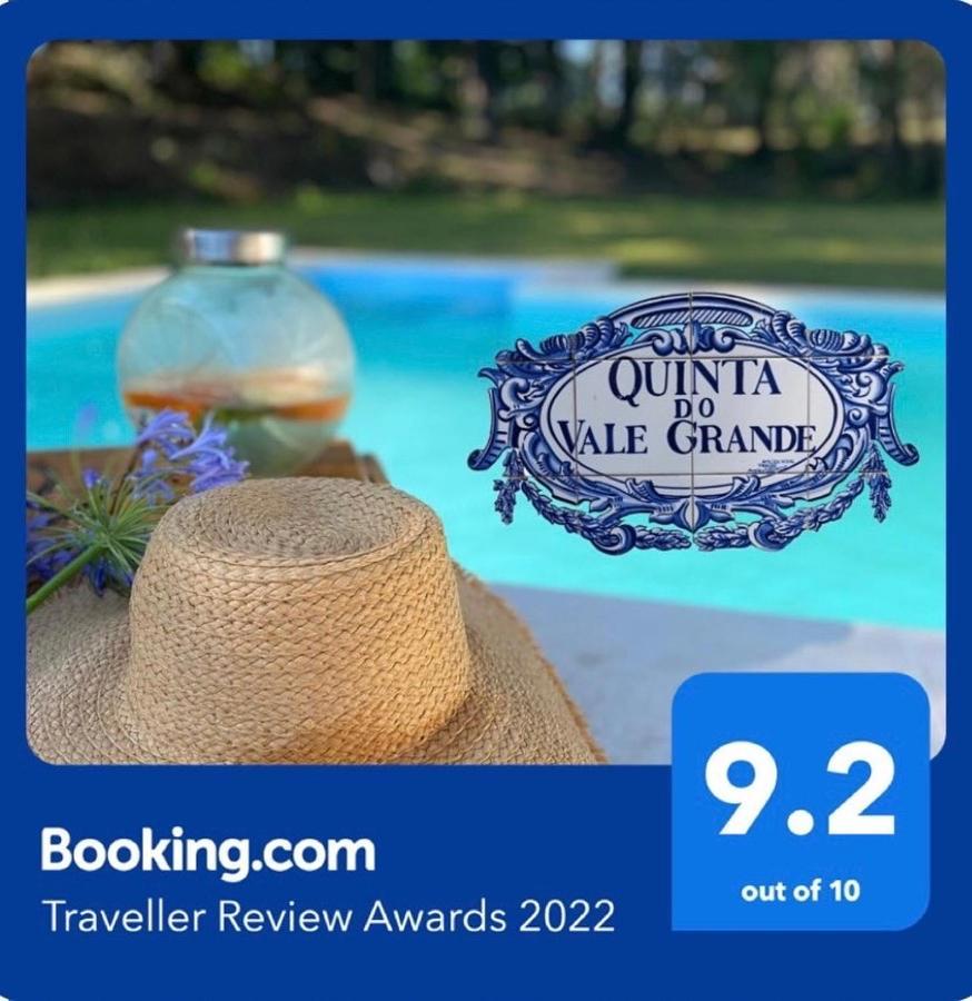 Quinta Do Vale Grande Villa Albergaria-a-Velha Eksteriør bilde