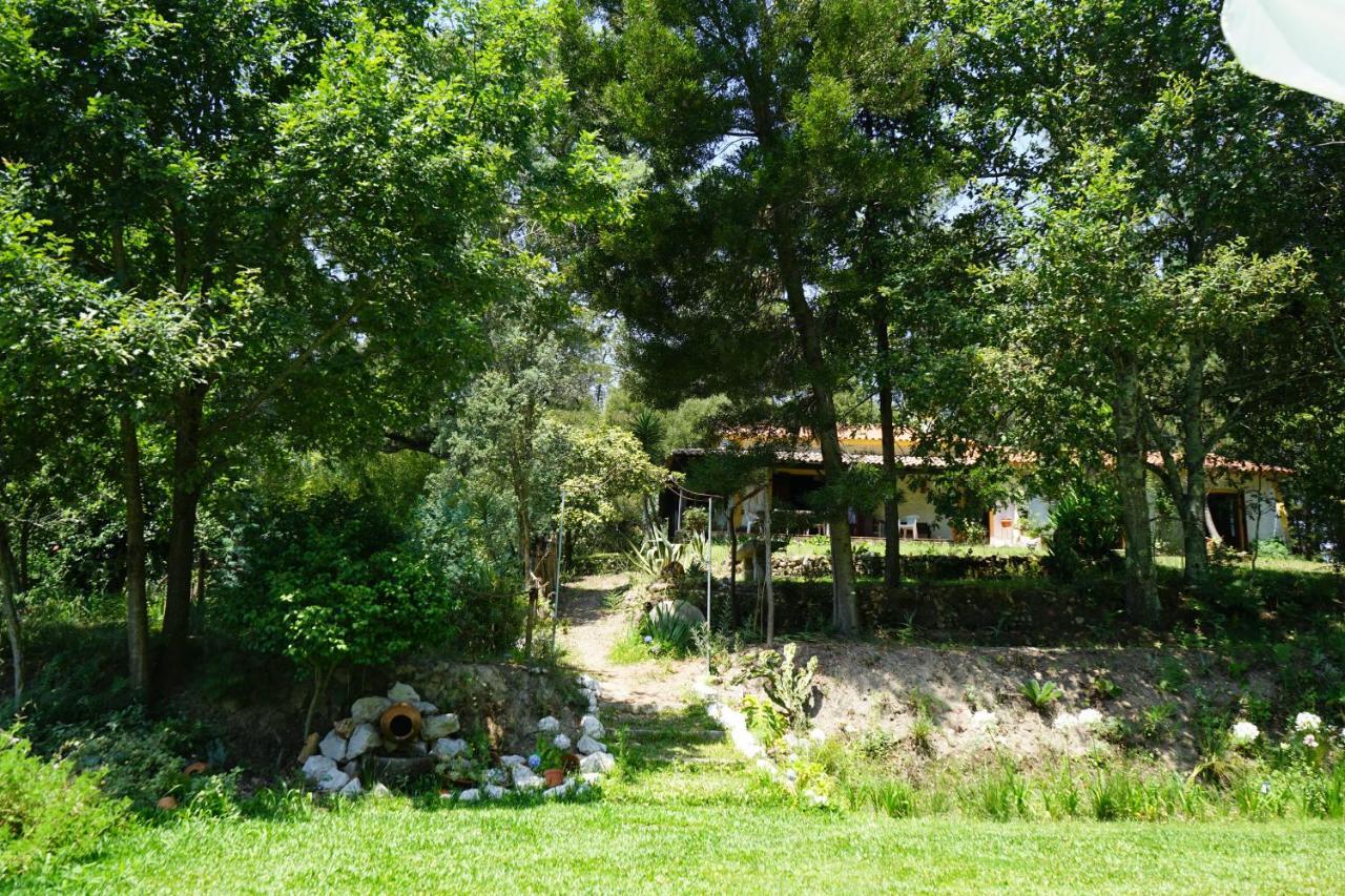 Quinta Do Vale Grande Villa Albergaria-a-Velha Eksteriør bilde
