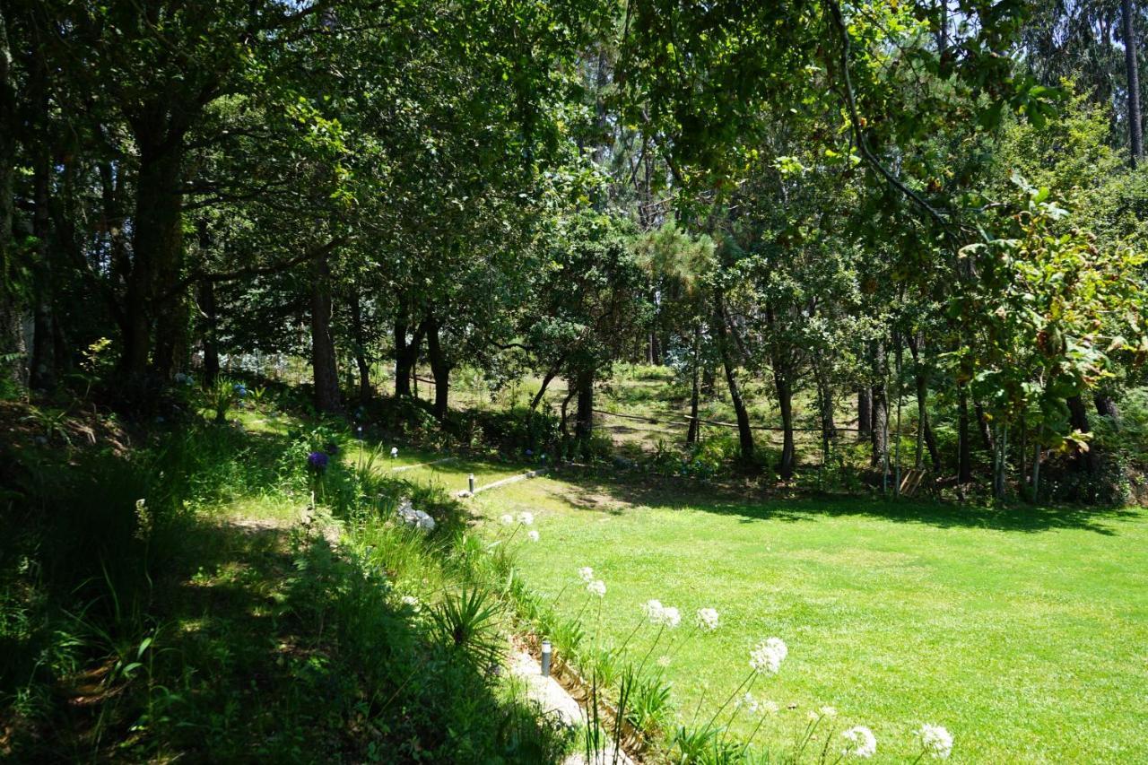 Quinta Do Vale Grande Villa Albergaria-a-Velha Eksteriør bilde
