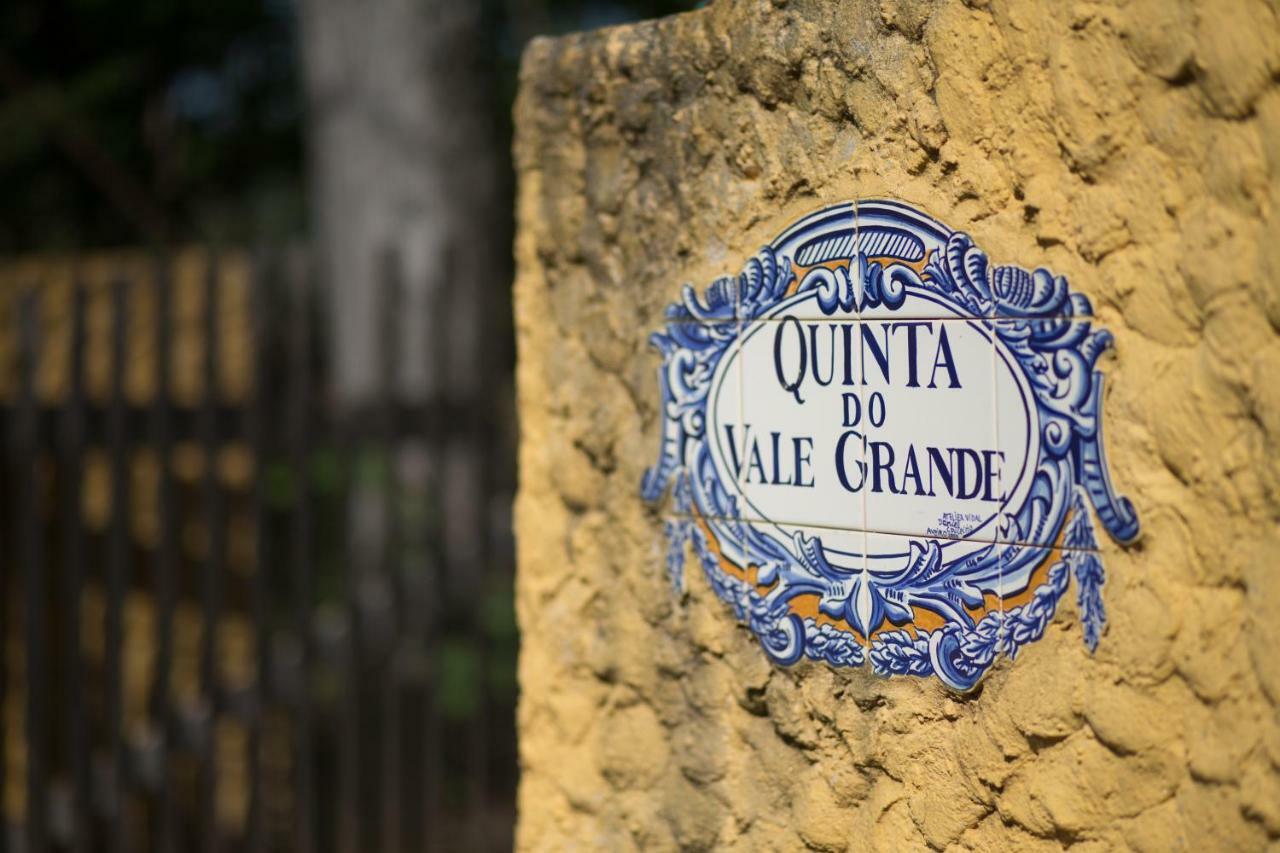 Quinta Do Vale Grande Villa Albergaria-a-Velha Eksteriør bilde