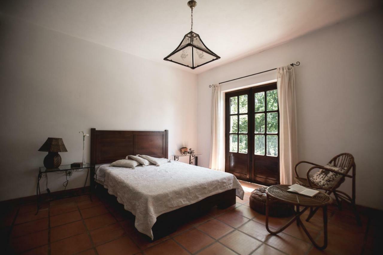 Quinta Do Vale Grande Villa Albergaria-a-Velha Eksteriør bilde